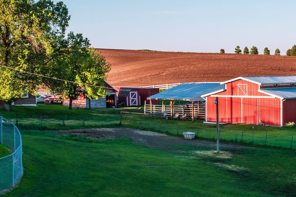 Donald Family Farm